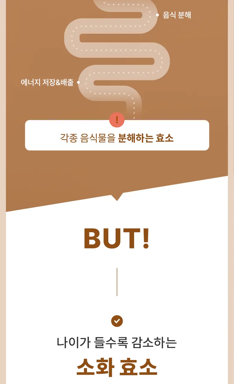 [최희PICK] 빌드 프리미엄 테프 효소 /효소 유산균 30포 (1개월분) 상세페이지 20